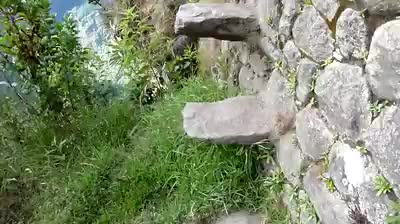 @Awakeningtiger Ébredőtigris