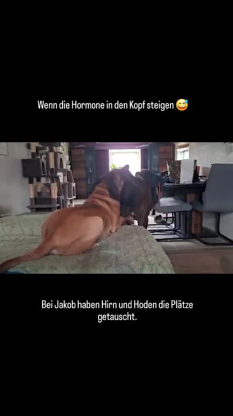 @Manuela Stockhausen