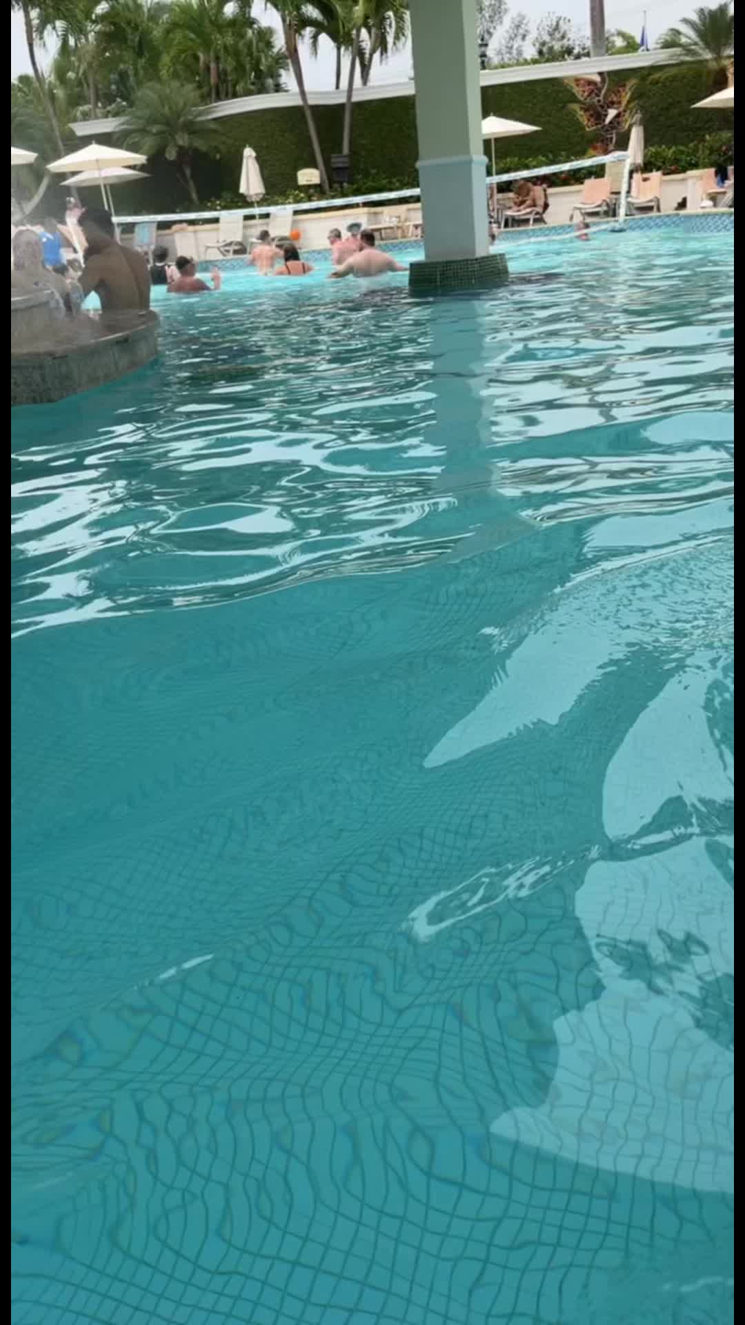 @Msholland20🐬🐬🐬🐬🐬