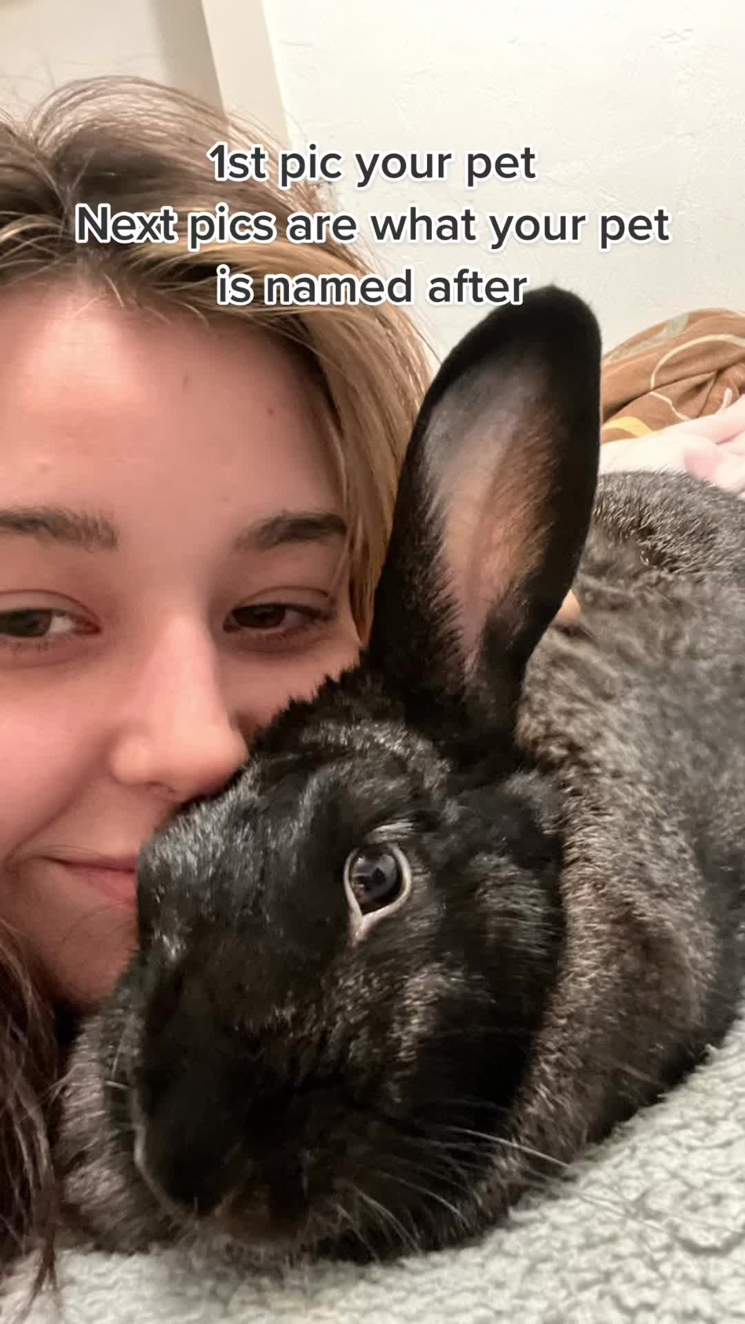 @theeeeeeeeeeeee