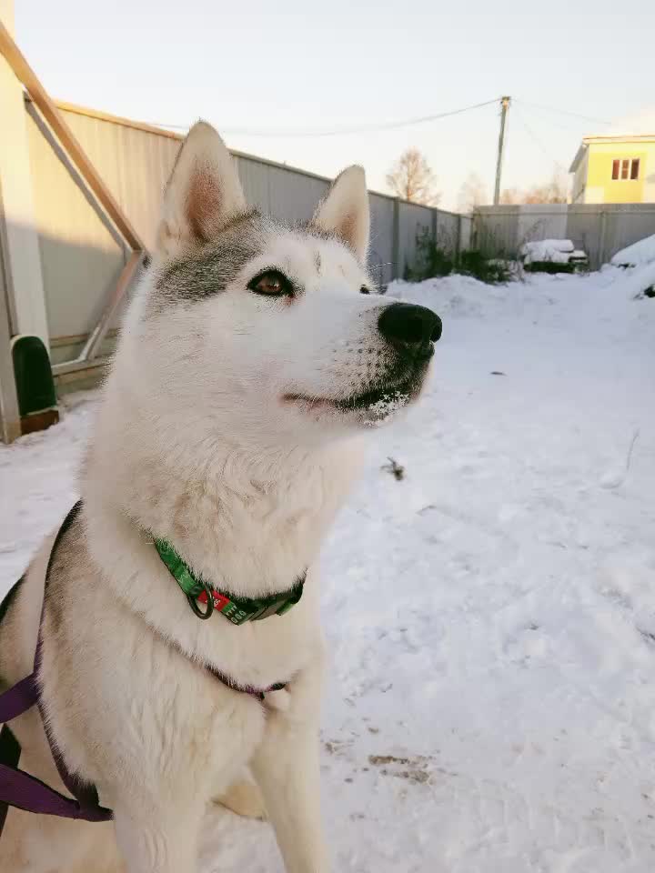 @просто Майа 💗
