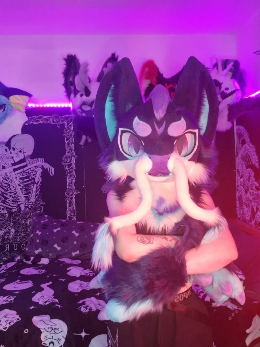 @Bailey (lilpixiekitten)