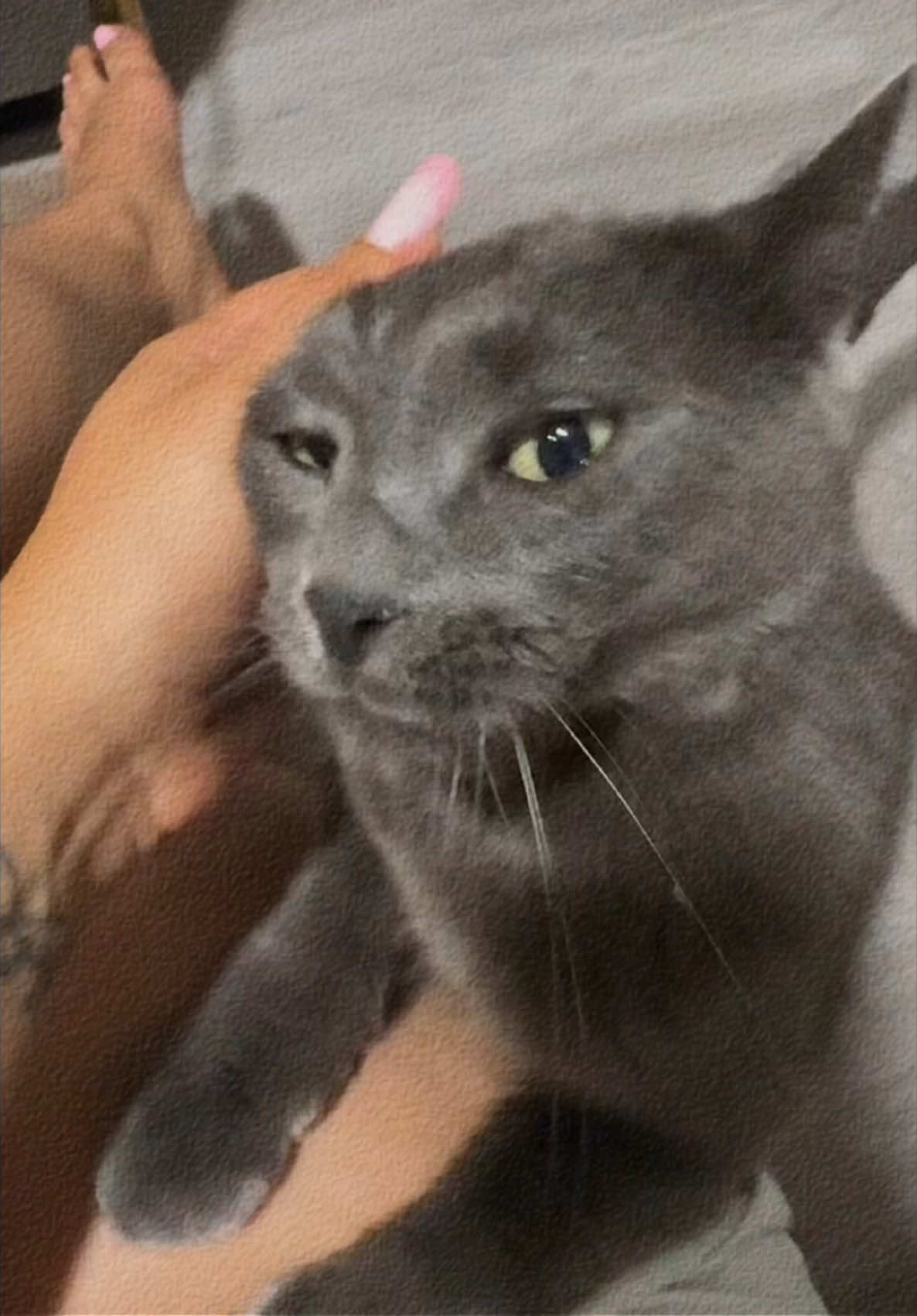 @𝑨𝒏𝒅𝒓𝒆𝒆𝒂 𝑴𝒂𝒓𝒈𝒐𝒊