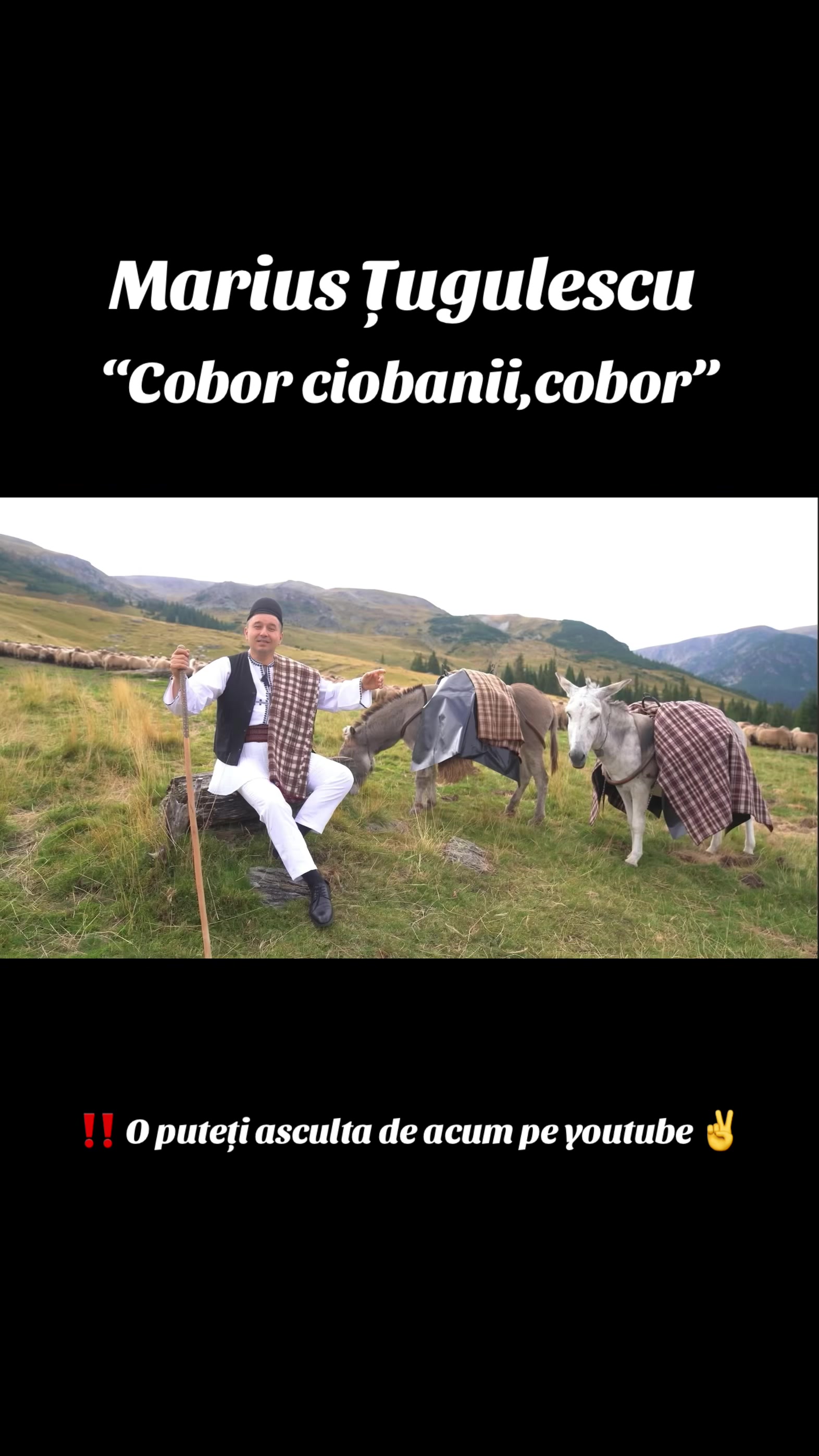 @Marius Tugulescu