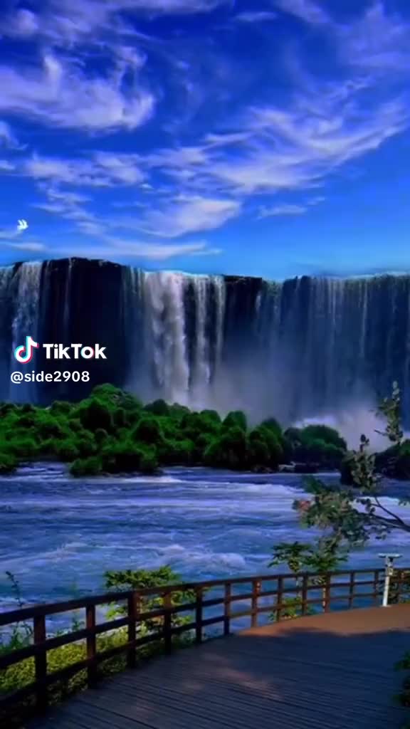 @букет рози