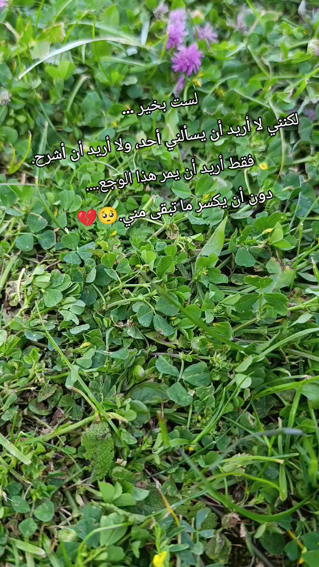 @صہٰۣمہتہٰۣ ألأشہٰتيہٰاق🕊️🍃