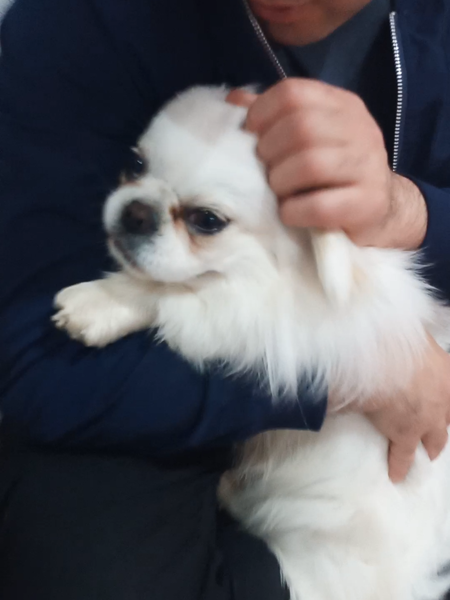 @Jacky_TikTok