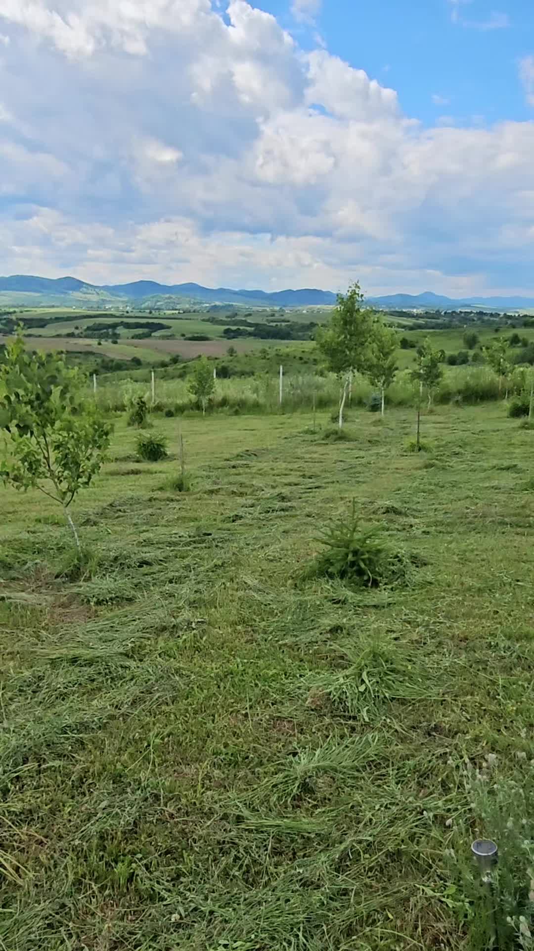 @bunatatidecasacristina