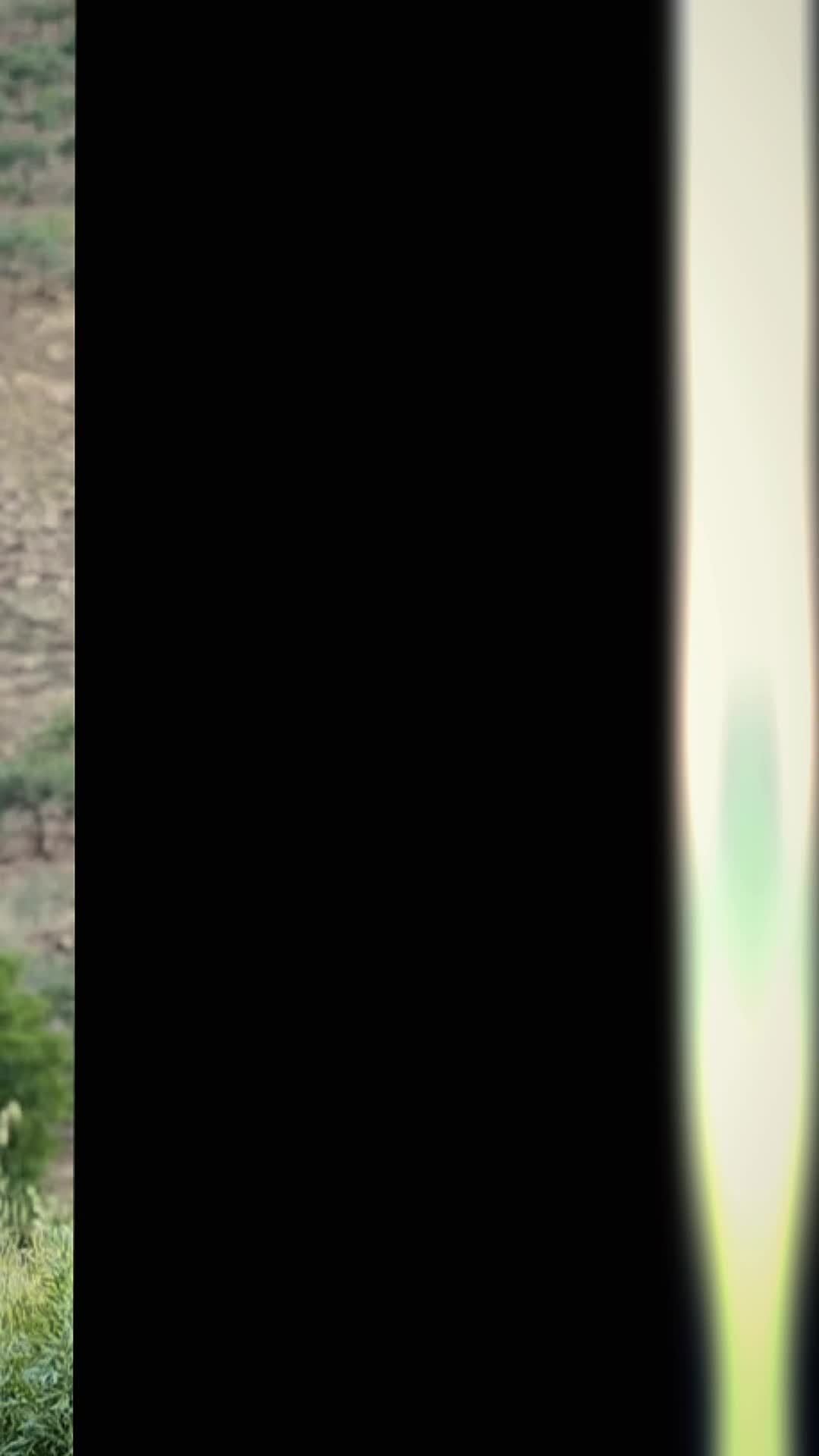 @𝑀𝓊𝒿𝓉𝒶𝒷𝒶 🐆