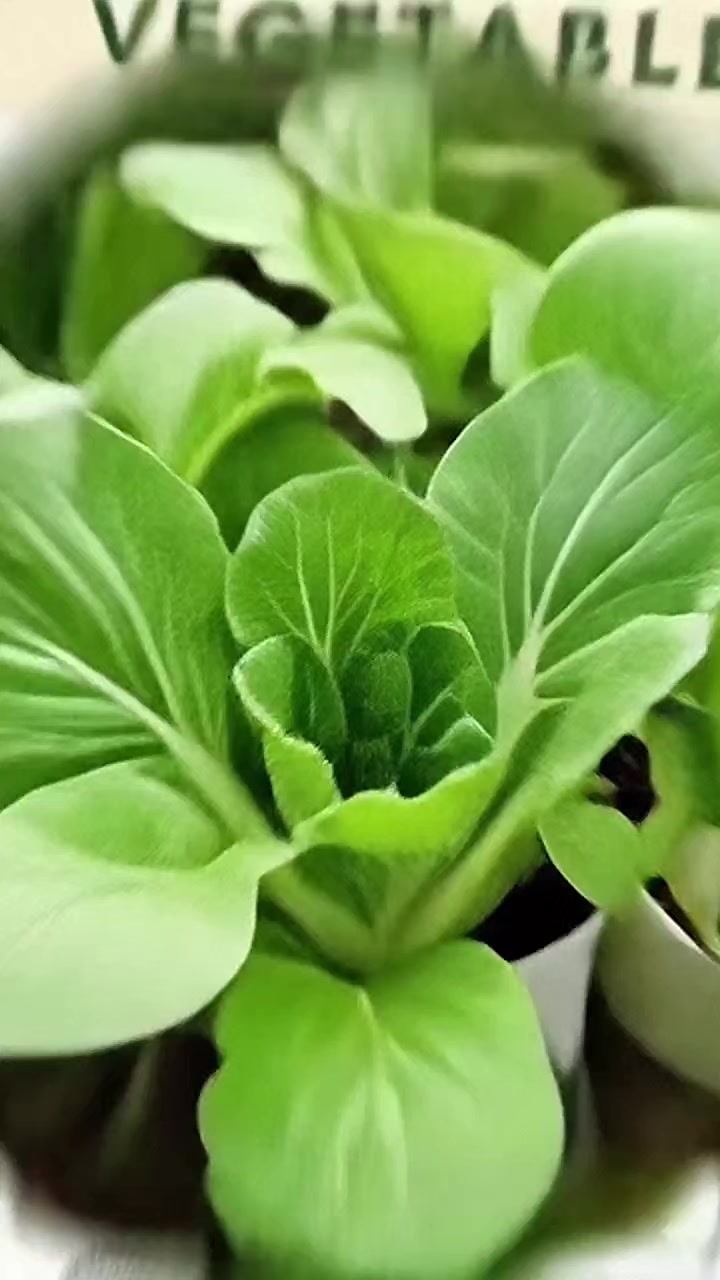@MaryChealKhai_10💚