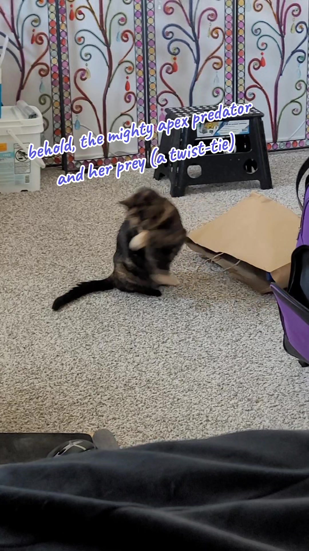 @Nicole WhatsTheirName