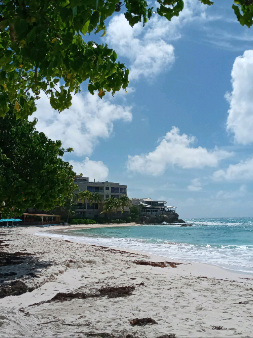 @Travel With Us