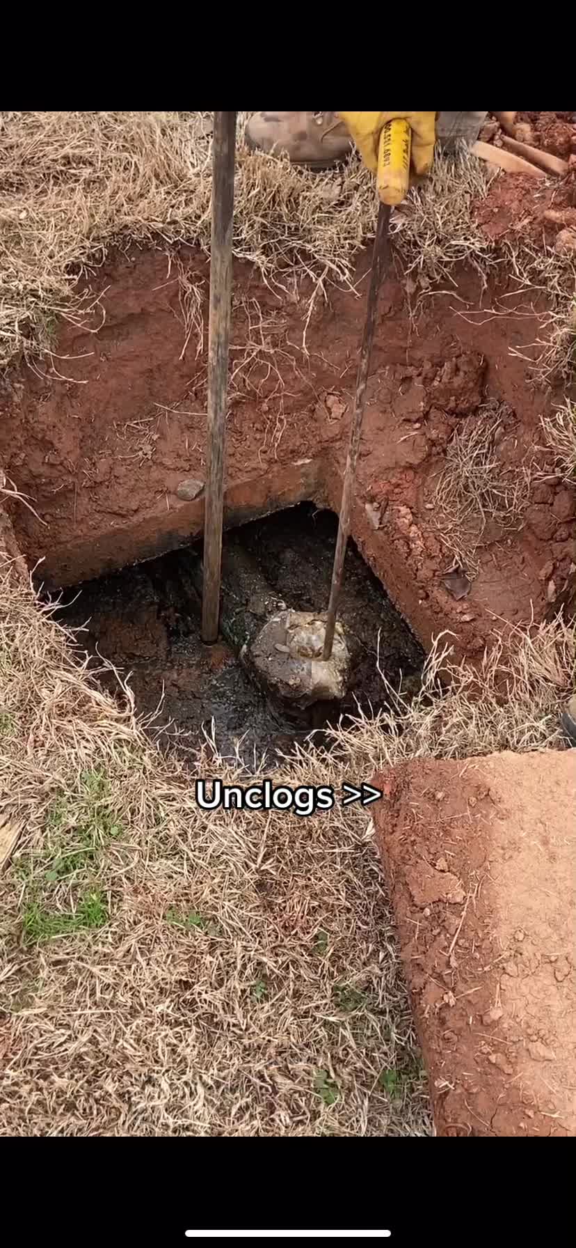 @septicpros