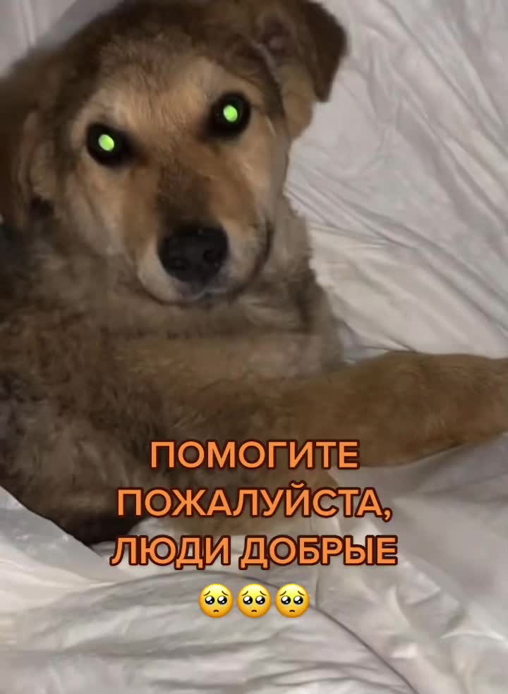 @КАРДАН ЖИВИ