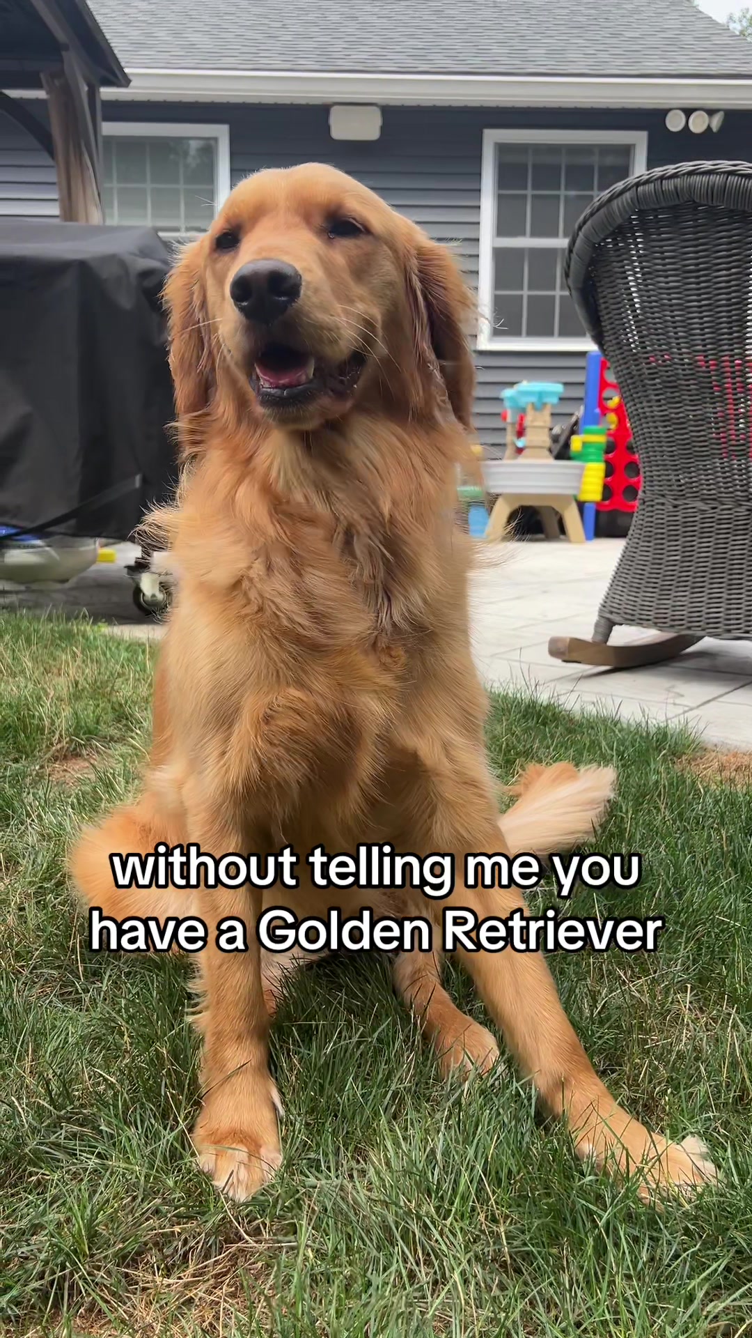 @Adventures of Gunner & Cookie