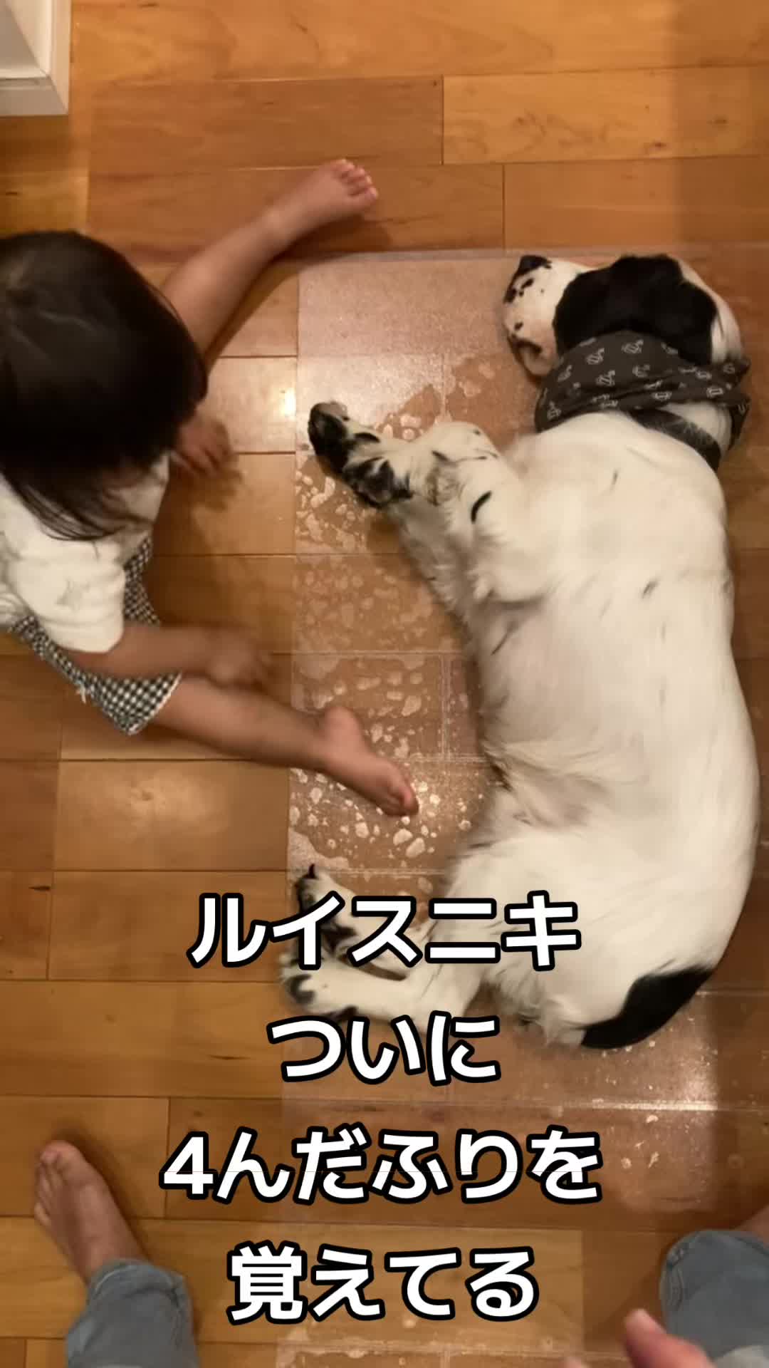 @進撃のバブ子🍉
