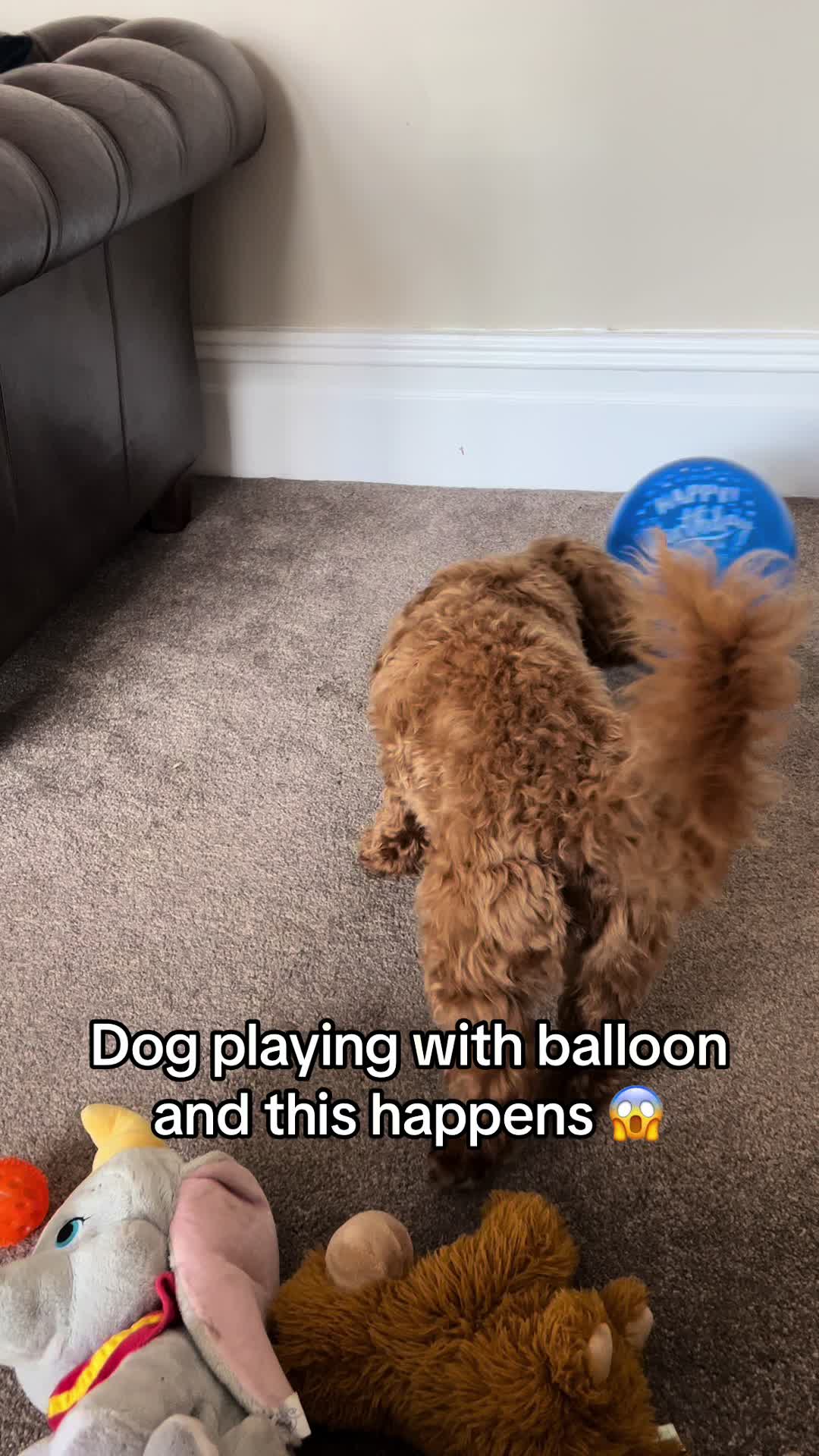 @Sothishappened