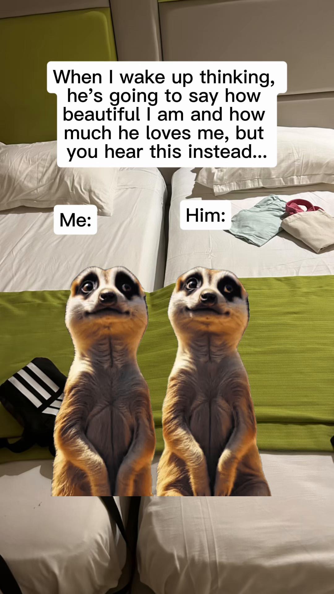 @gemma