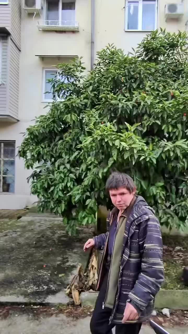 @user97923508261