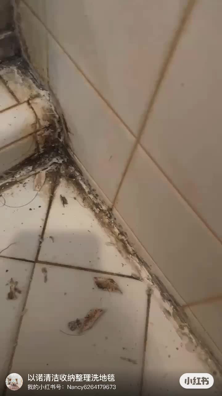 @Enoch_cleaning