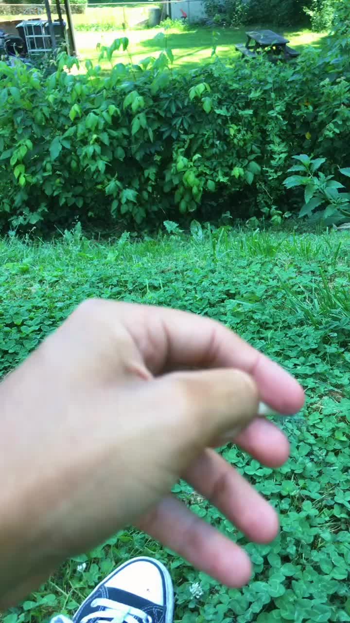 @Shitfuckit