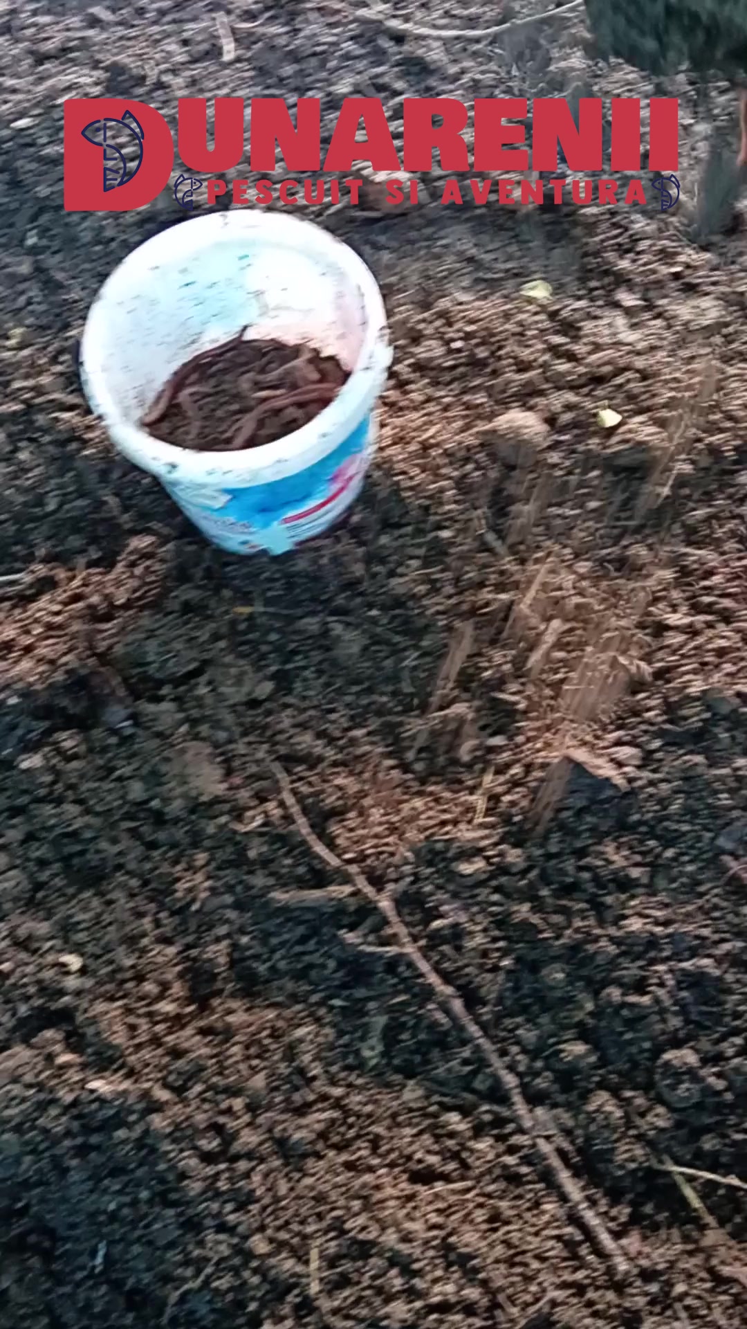 @Pescarul Dunărean