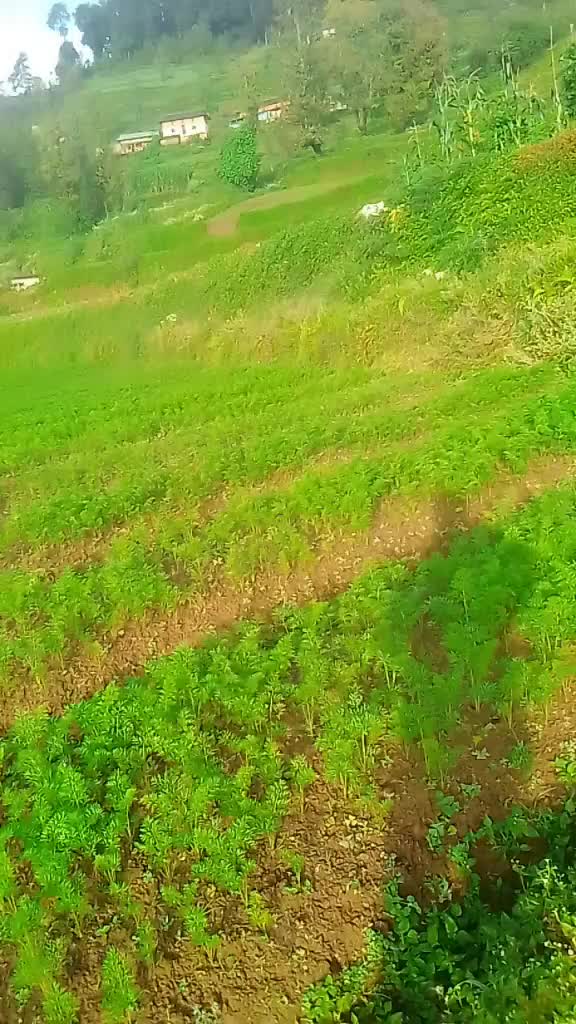 @Ramesh Thami
