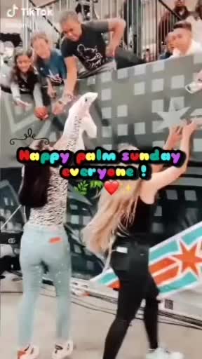 @𝑪𝒉𝒂𝒓𝒍𝒊 ᵃⁿᵈ 𝑨𝒅𝒅𝒊🔭💗
