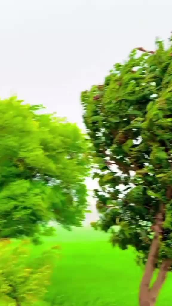 @Mr. Hasan 100k
