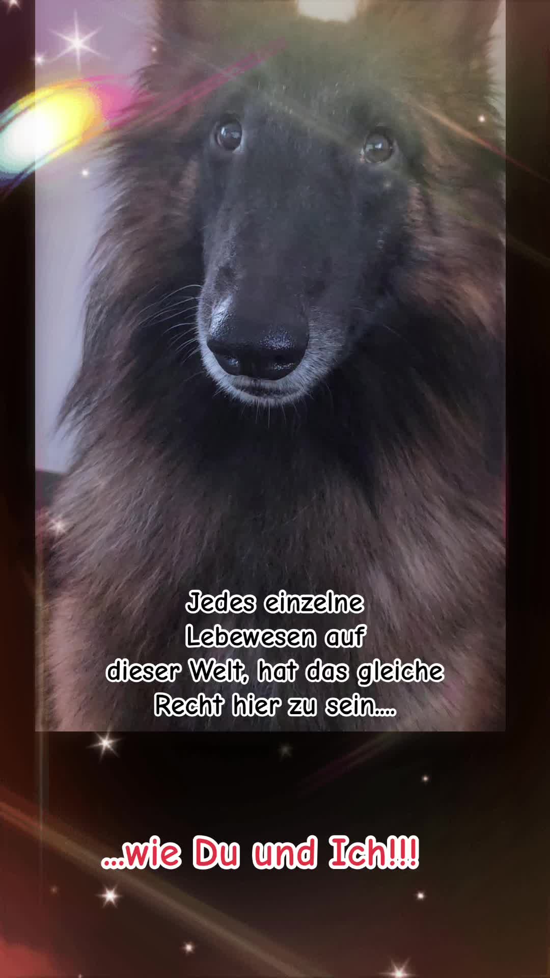 @Susi