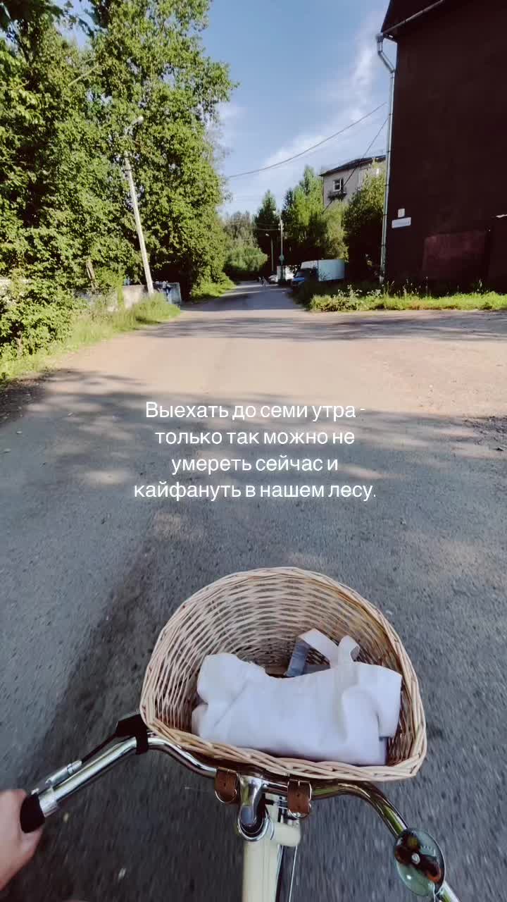 @sashaantsupich