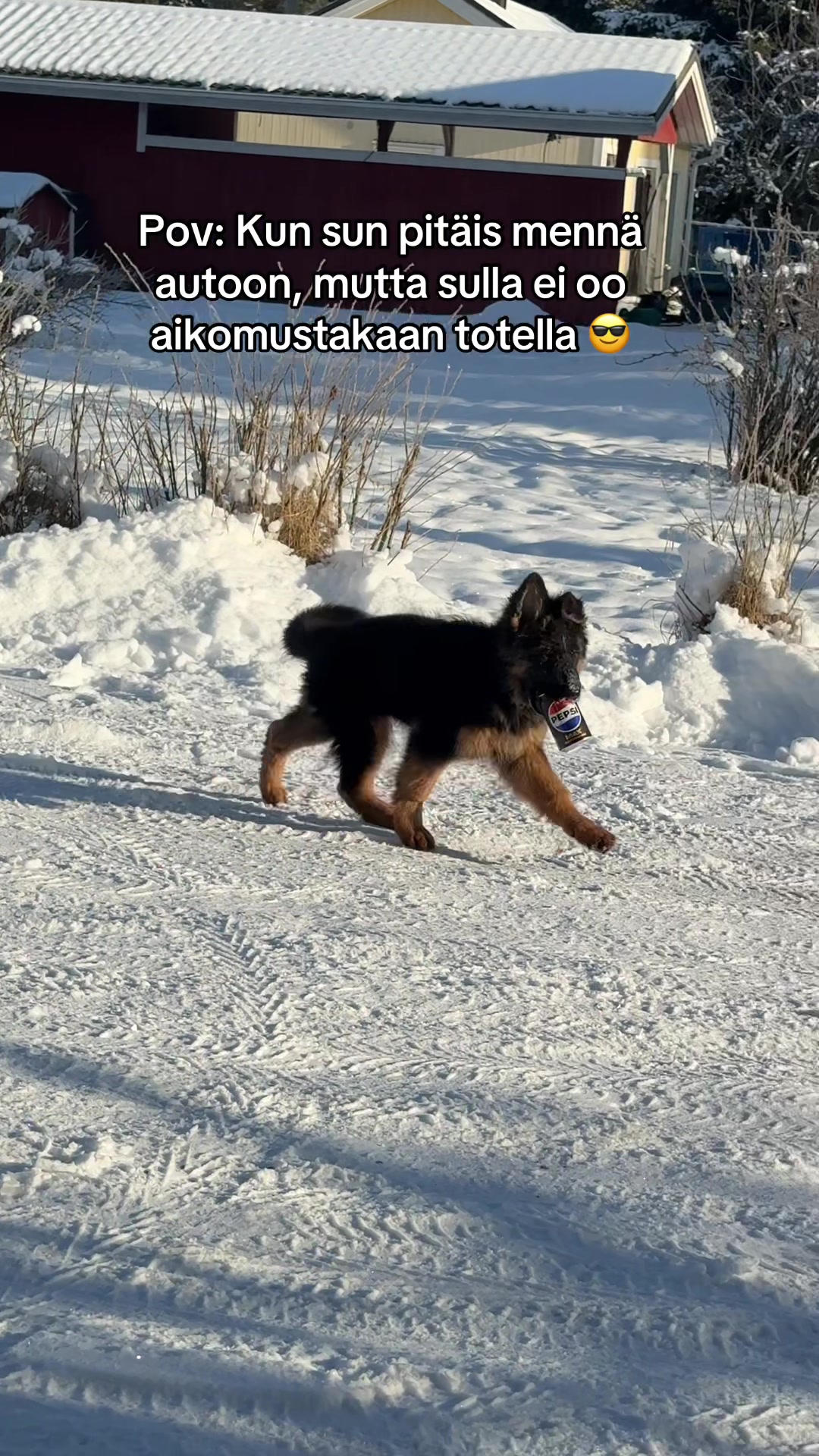 @Jankkux
