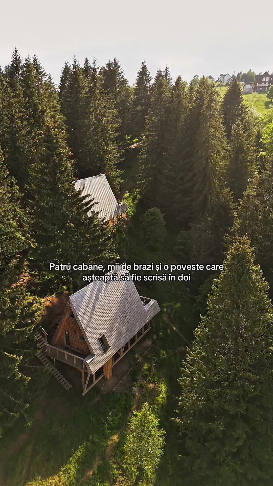 @Strajerii Verzi