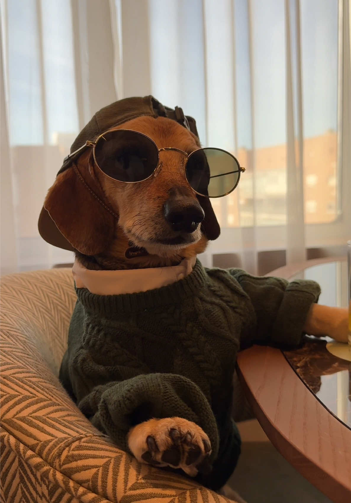 @Lucas The Dog