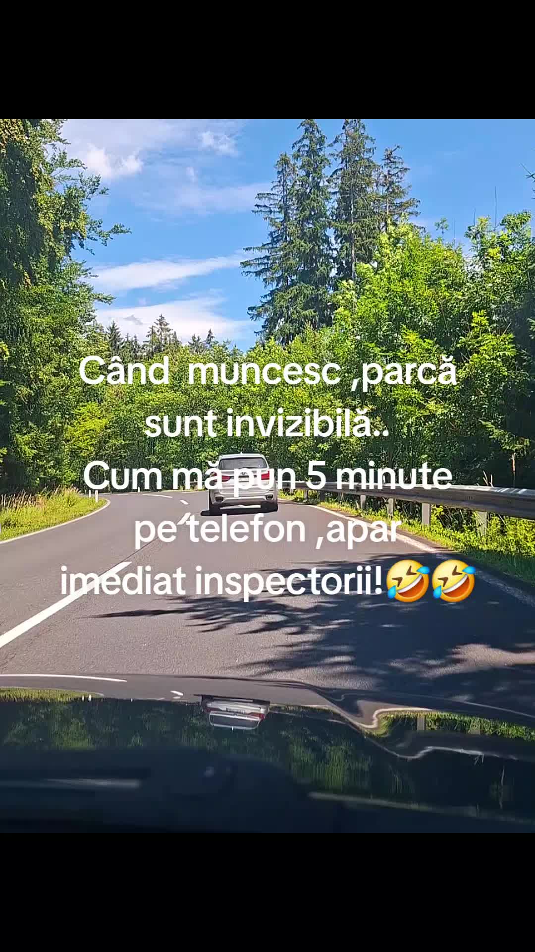 @Nicoleta Balan