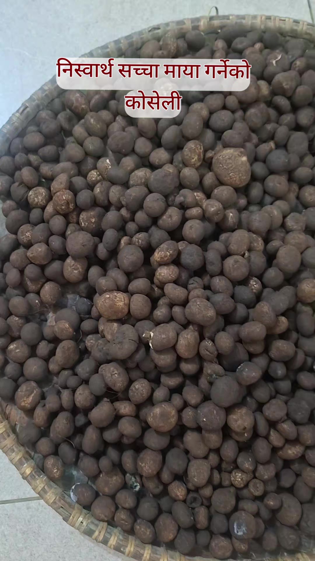 @RARA_SAINJU