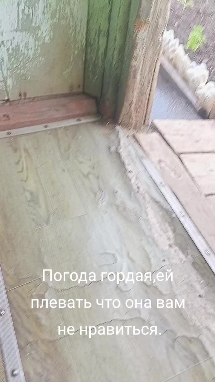 @св,.,с,....