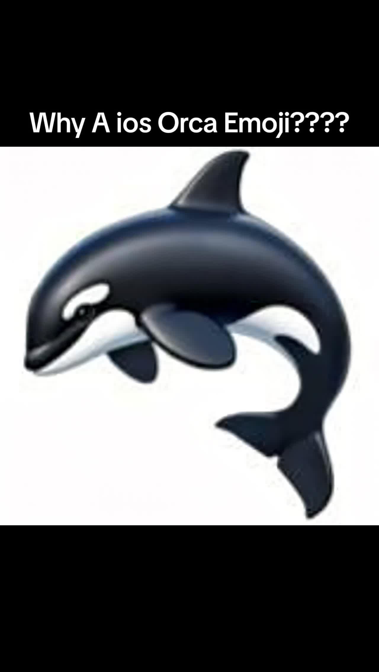 @ccabeza7
