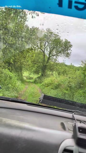 @Shitbox Micra Things