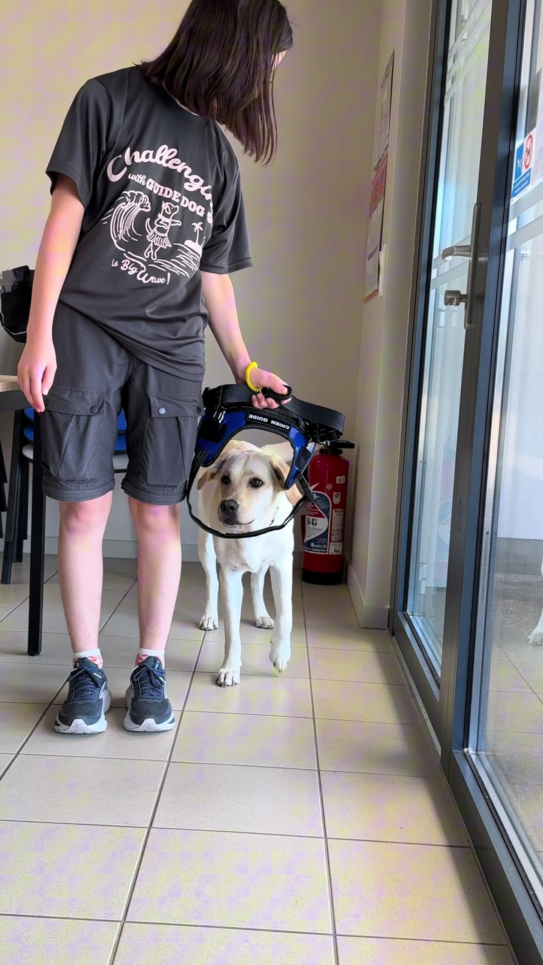 @Chiens Guides de l&rsquo;Est