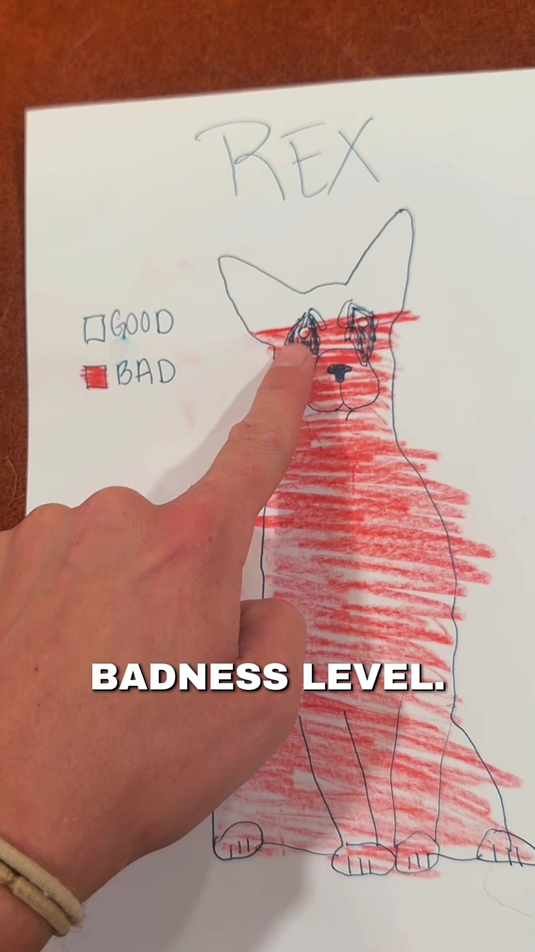 @K9 Obi-Wan, Ahsoka & Rex