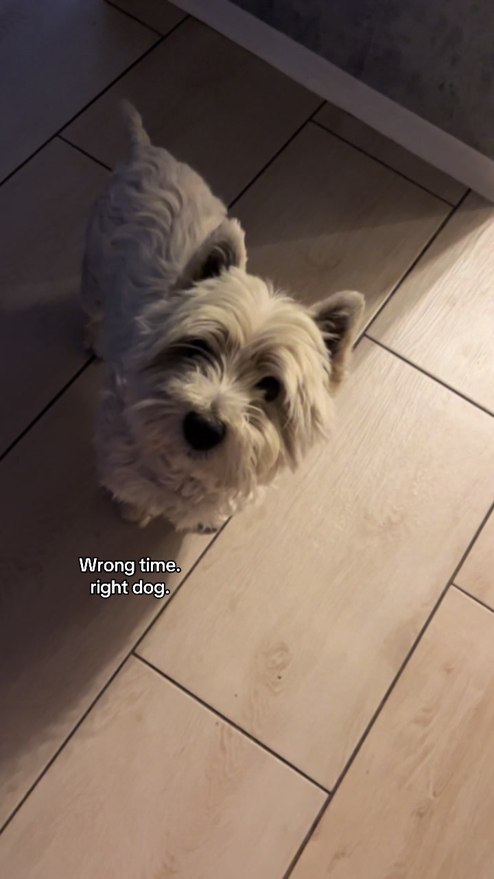 @𝑱 𝑶 𝑲 𝑬 𝑹
