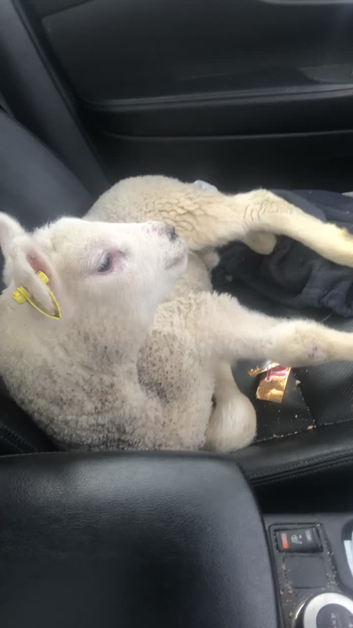 @FARMvisor