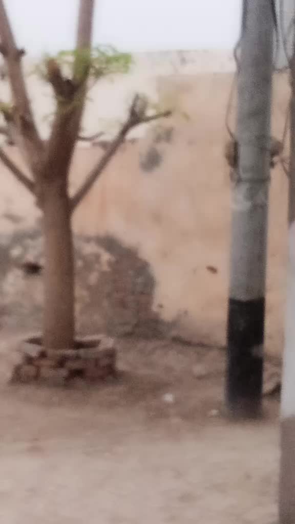 @Ali Ahmad