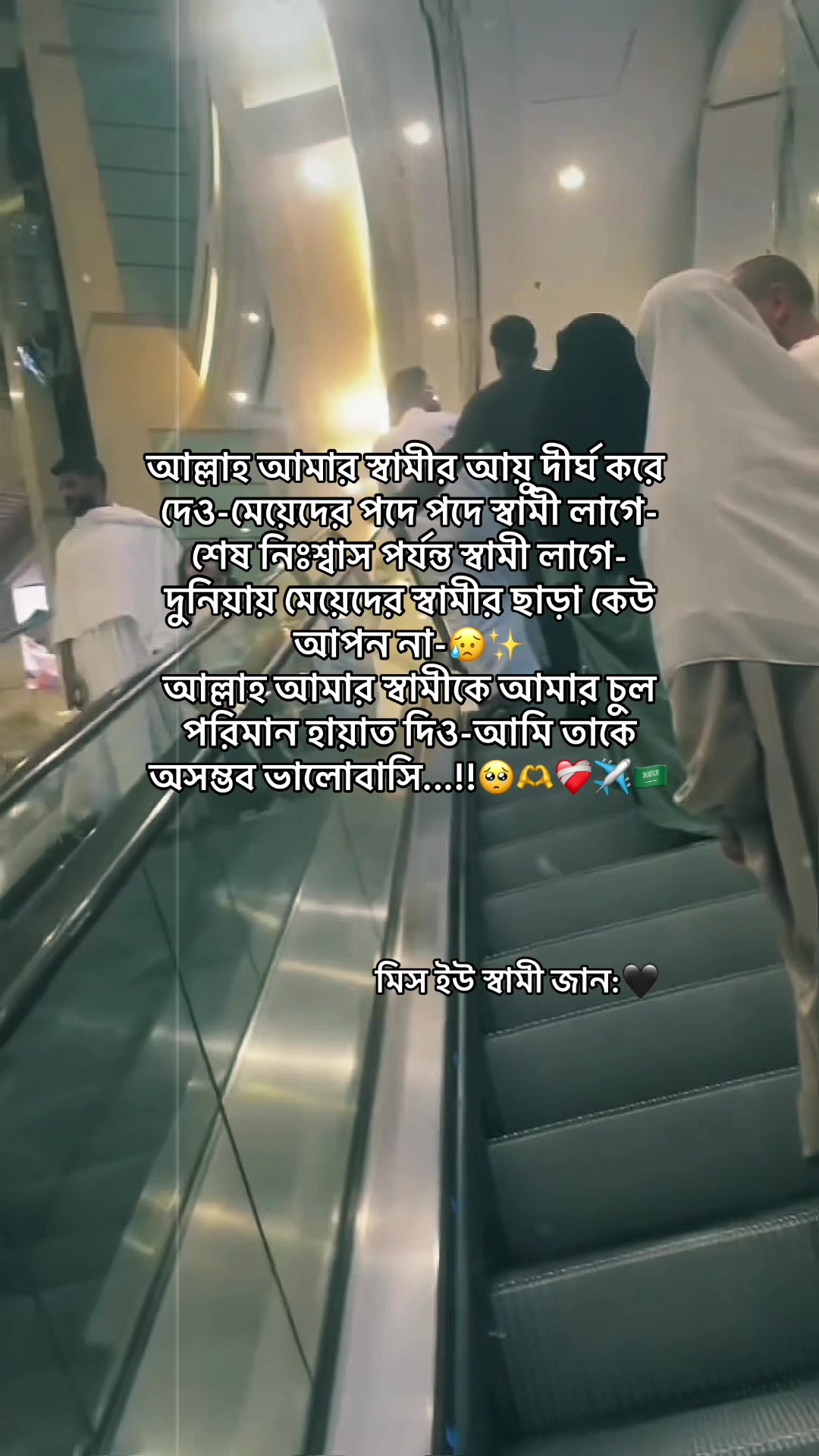@đĻ S H I U L I đĻ