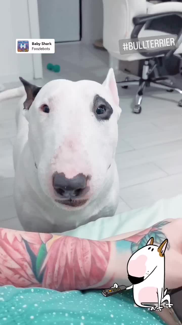 @aaaaa