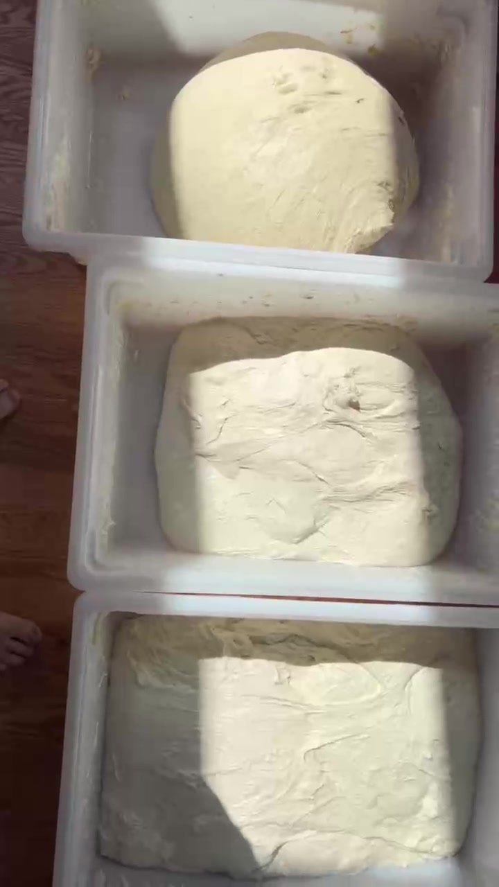 @SourDoughBrooo