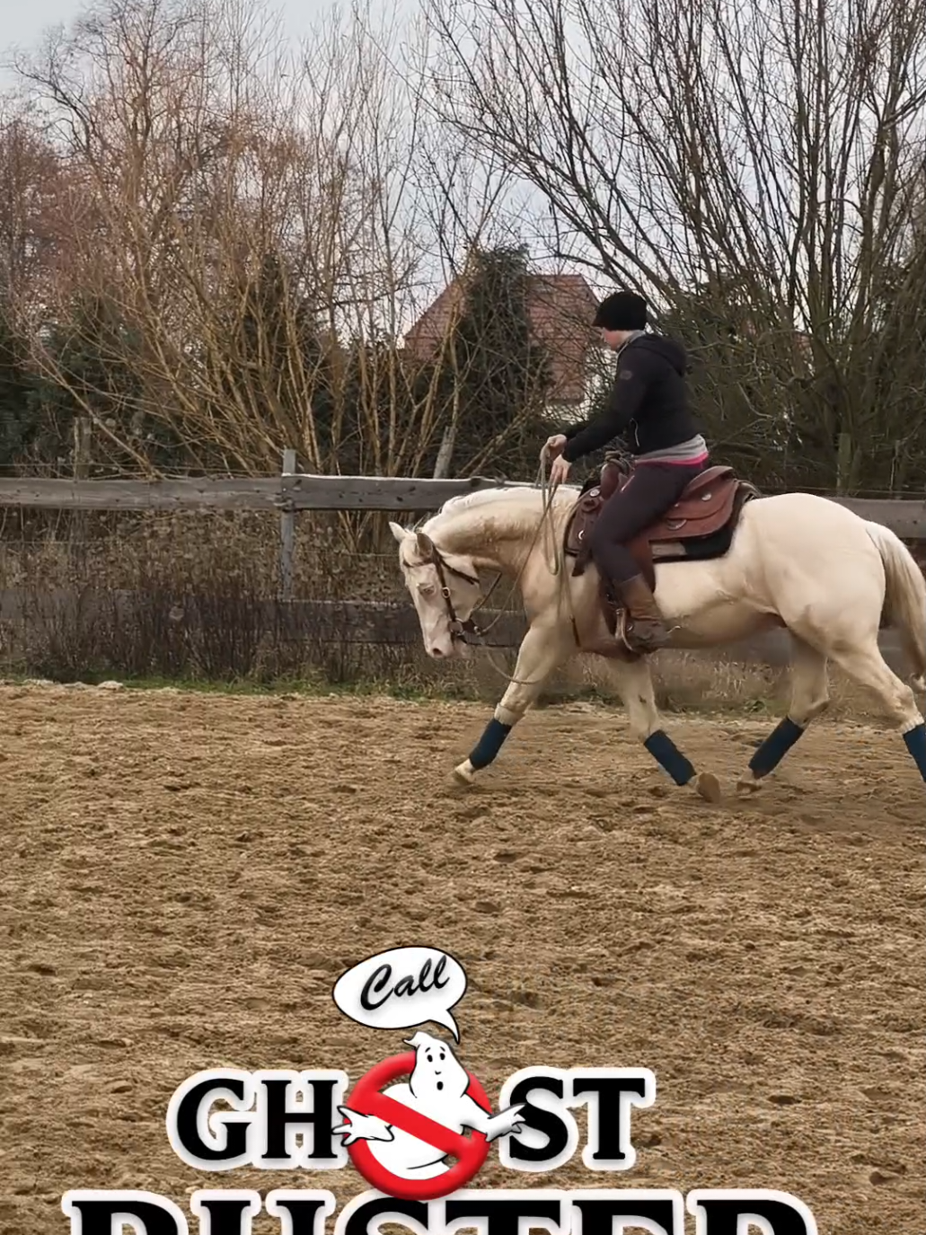@Sandra Breitenstein