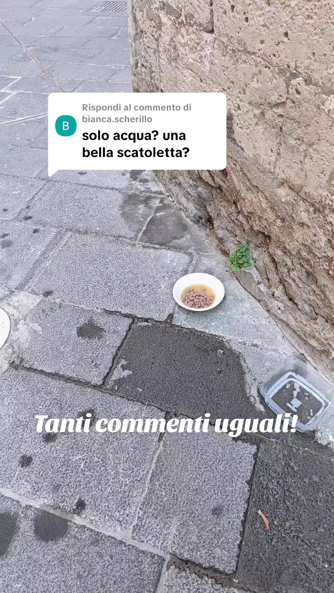 @esterbongi
