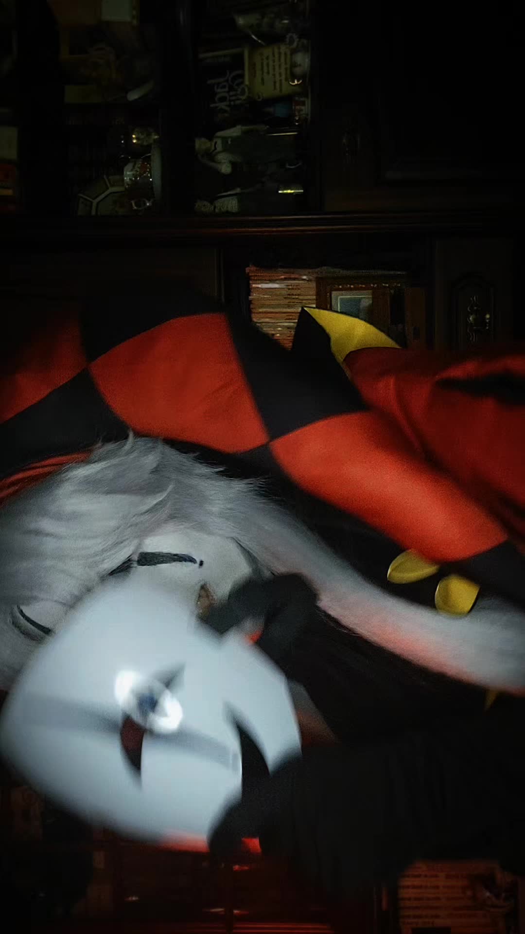 @₊‧꒰ა 𝙷𝚞𝚗𝚗𝚢 ໒꒱ ‧₊